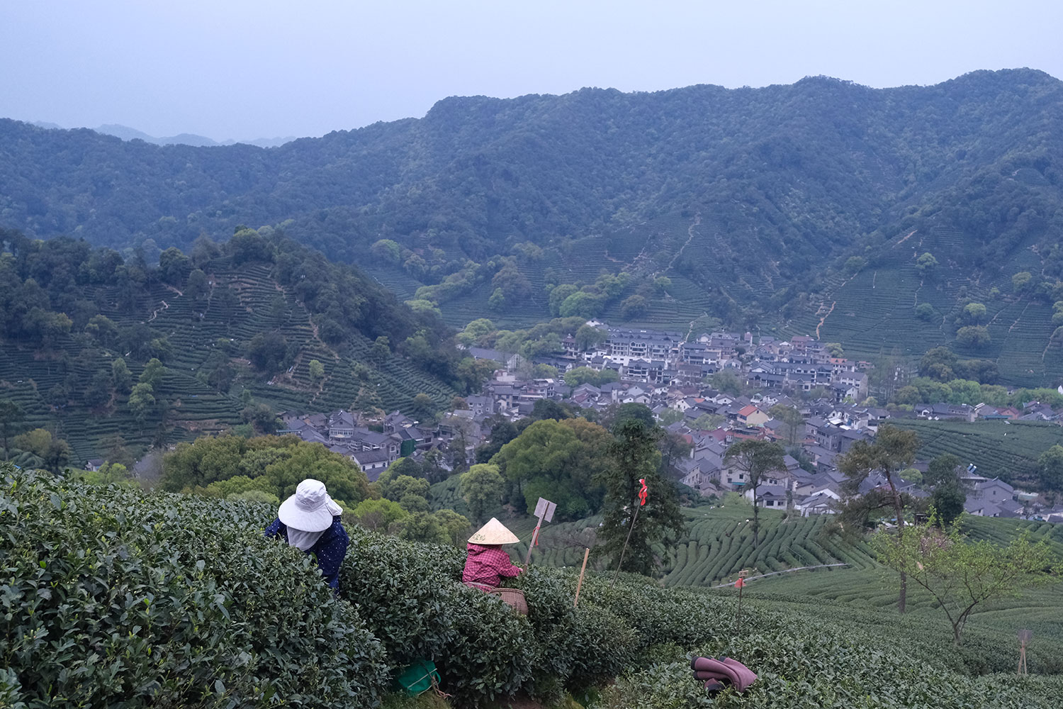 A sweeping view of Meijiawu, a core tea-producing village near Hangzhou’s West Lake, Zhejiang.