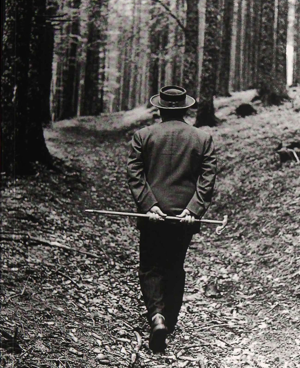 Martin Heidegger auf dem Holzweg