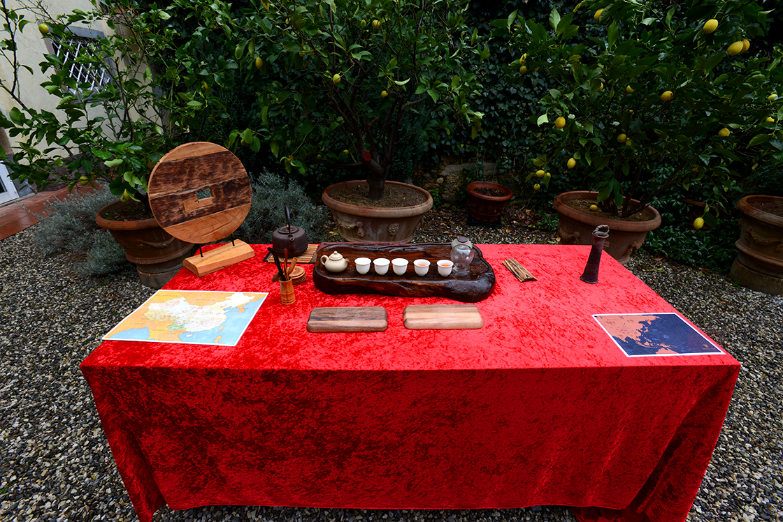 antiche camelie della lucchesia rituale di té Via del té