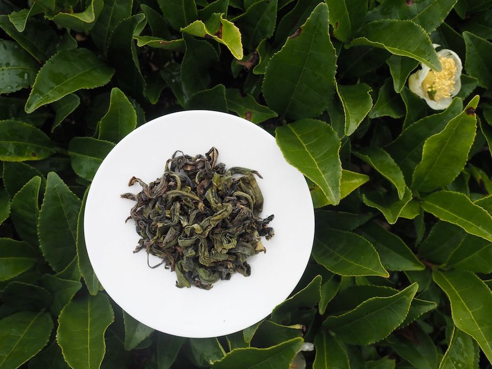 kamairi japán oolong tea