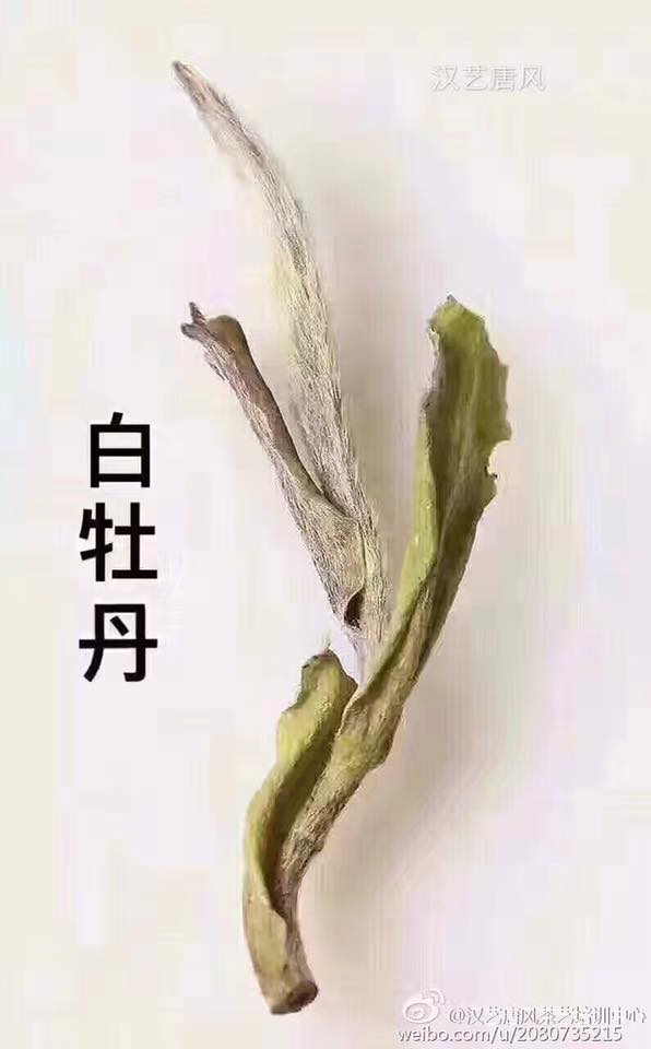 fehér tea bai mudan fehér peónirózsa