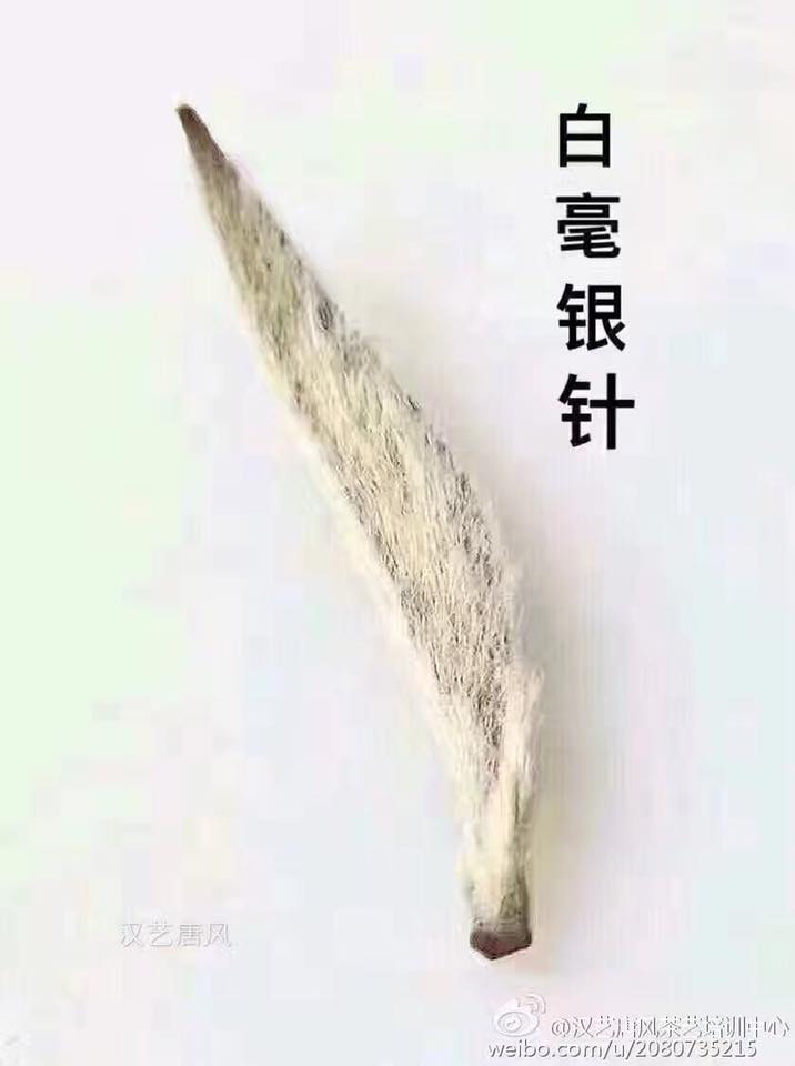 bai hao yiz zhen ezüst tűk fehér teta