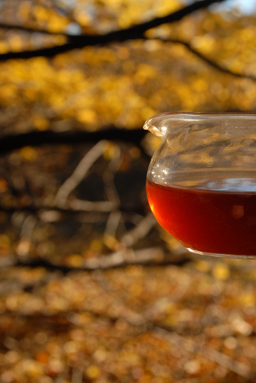 dian hong yunnani aranyvörös kínai fekete tea ősz 