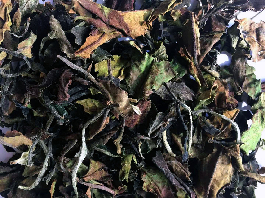 Bai Lan Ye Sheng fehér tea vad fehér tea