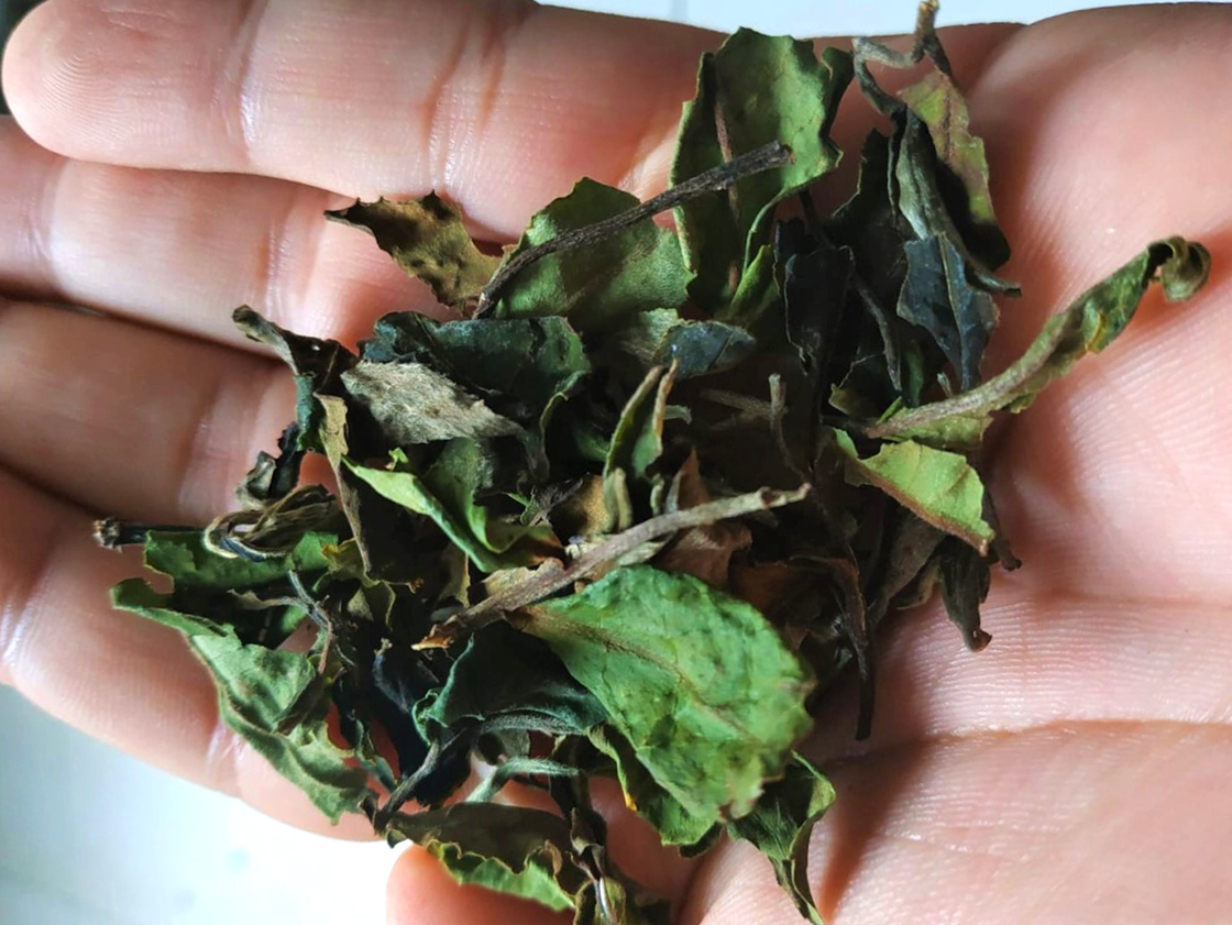 bailanyesheng fehér tea