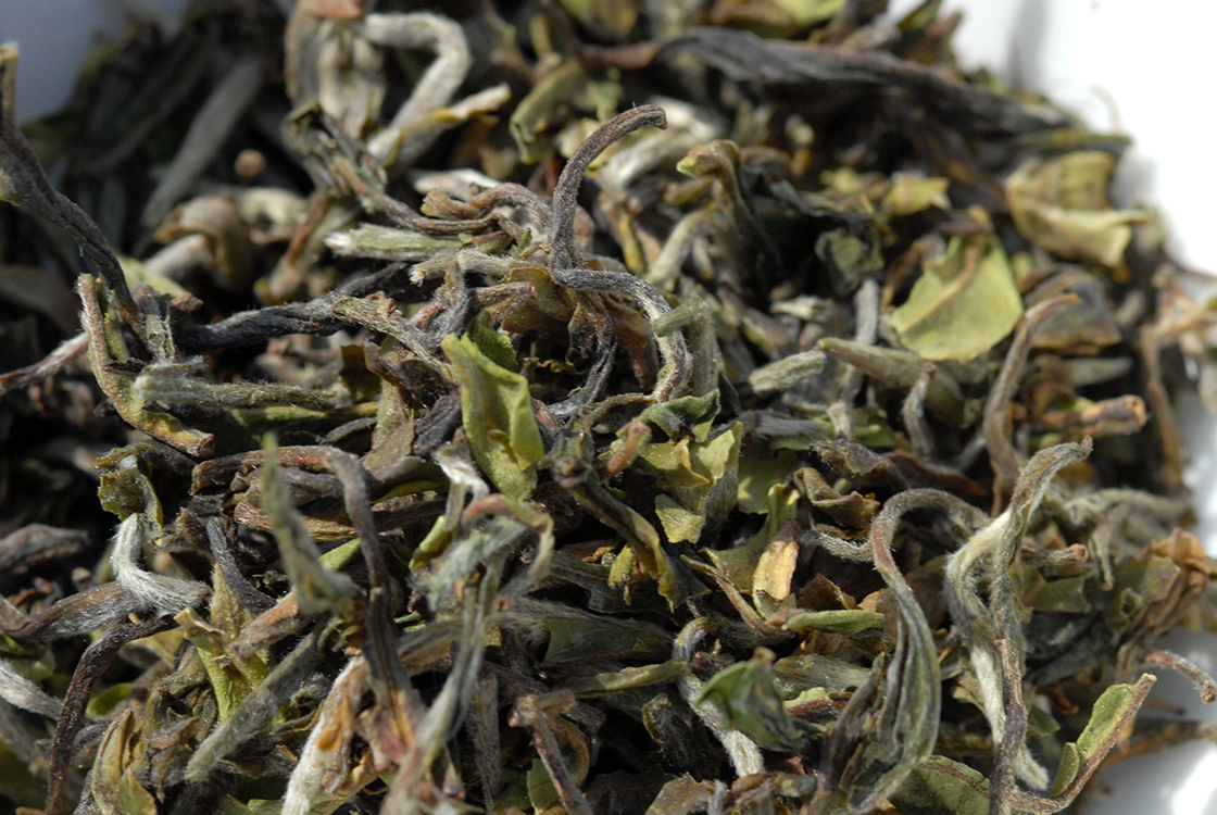 Darjeeling Rohini Moonlight FF - FTGFOP 1 CL 