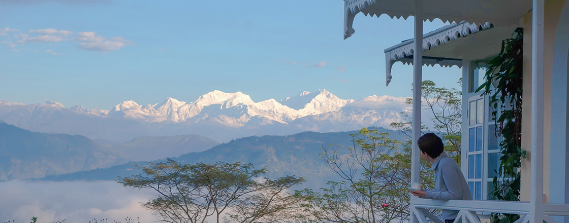 Darjeeling Glenburn tea estate