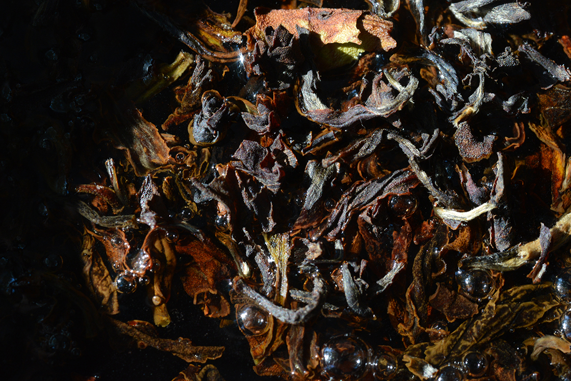 Darjeeling Gopaldhara second flush Emperor Musk