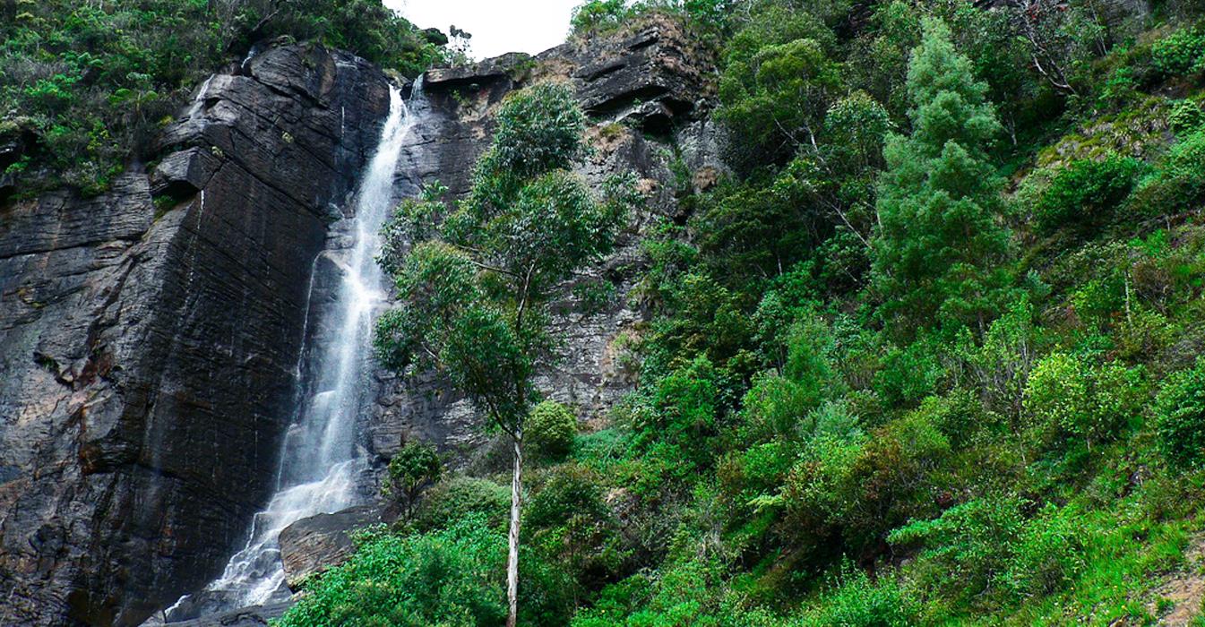 Ceylon nuwara eliya és bulang hegyi dian hong levél