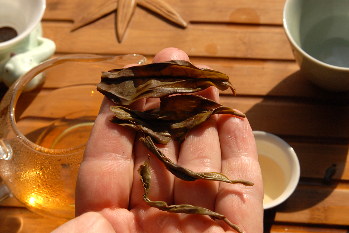 Feng Huang Dan Cong Ba Xian wulong tea