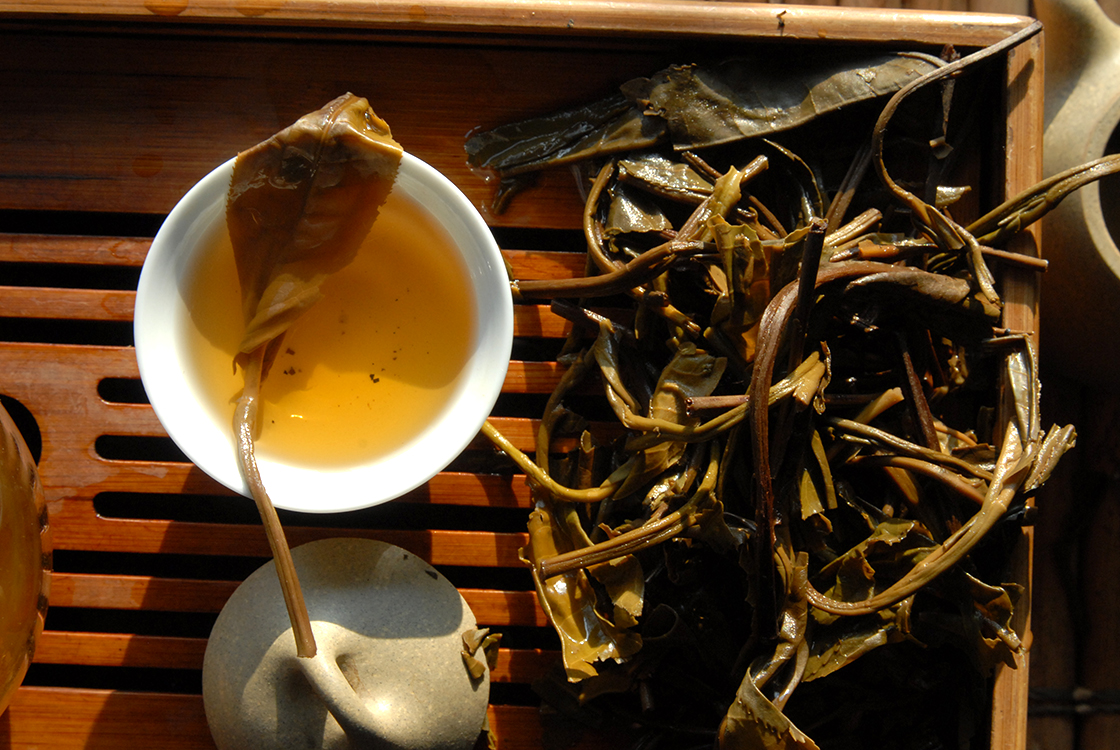 vén teafák a teaerdő mélyén 2007 kínai sheng puerh tea