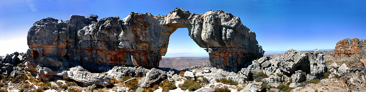 cederberg Dél-Afrika, rooibos