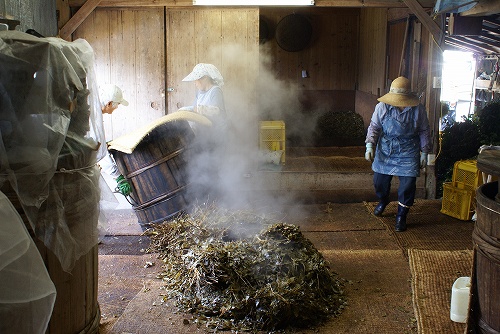 goishicha japán posztfermentált tea