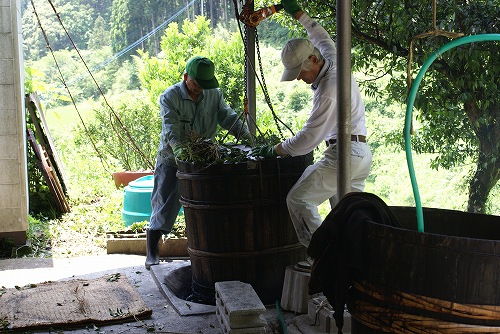 goishicha japán posztfermentált tea