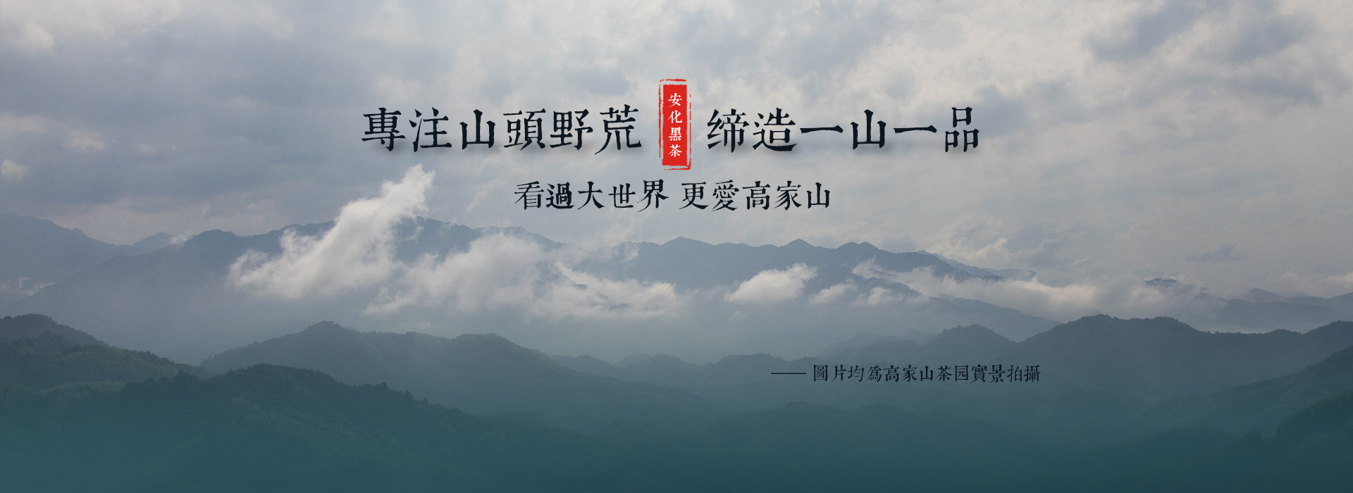 2006 qian liang cha söütét fekete tea hei cha