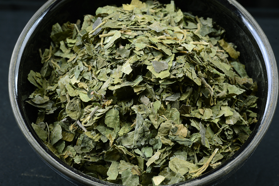 Gurmar - Gymnema sylvestre tea