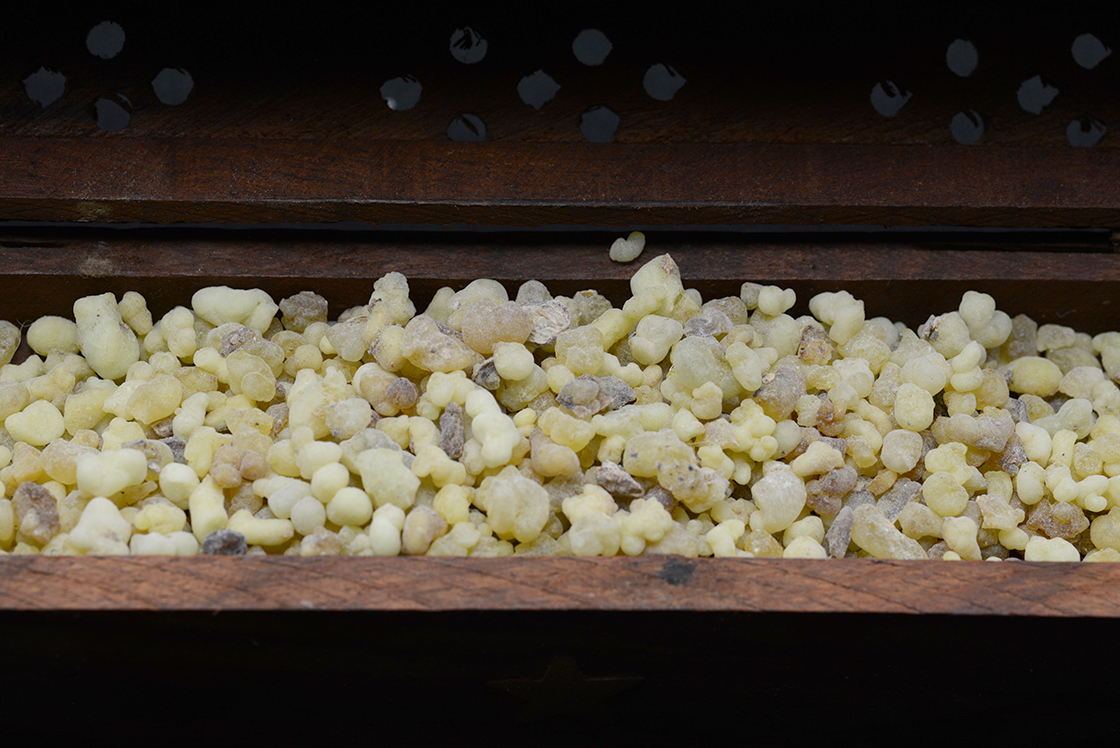 Illatos füstölőgyanta frankincensz Boswellia carterii Birdw