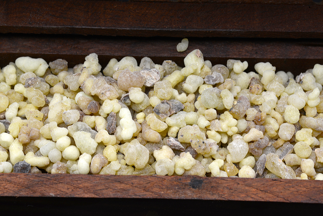 Illatos füstölőgyanta frankincensz Boswellia carterii Birdw