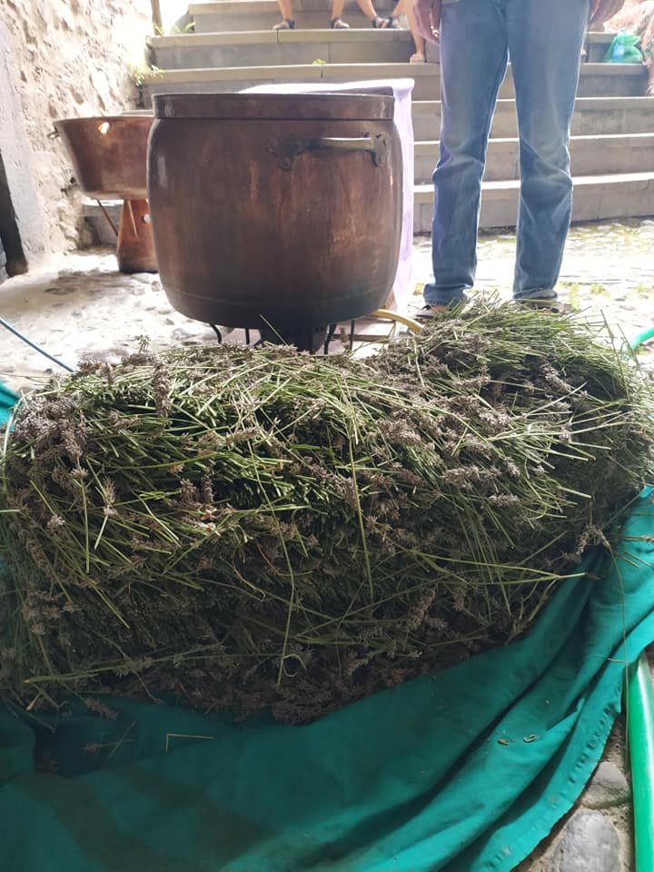 levendula olaj essszencia készítés