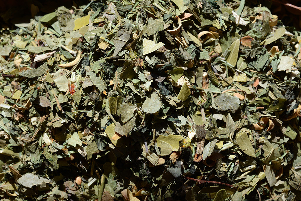 Medveszőlő herbatea