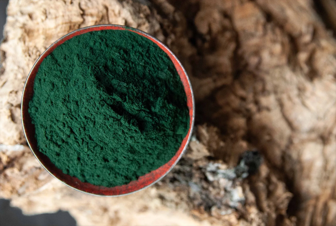 spirulina alga por