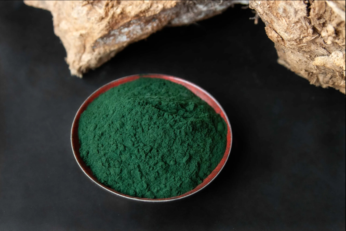 spirulina alga por