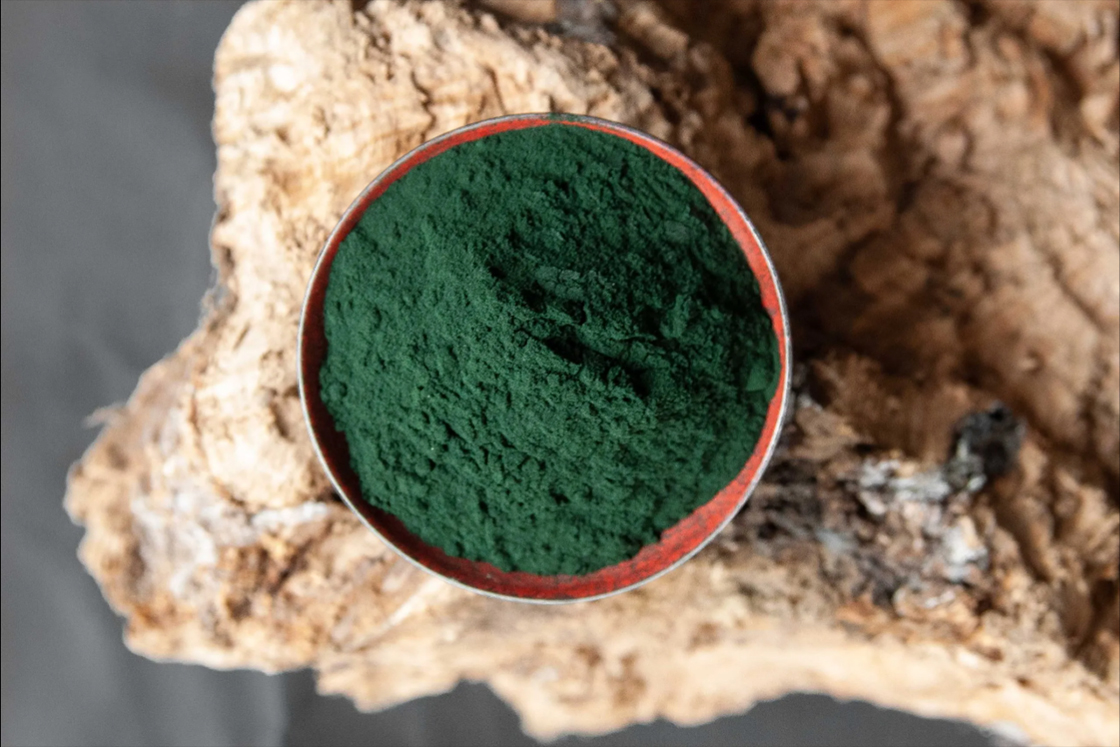 spirulina alga por