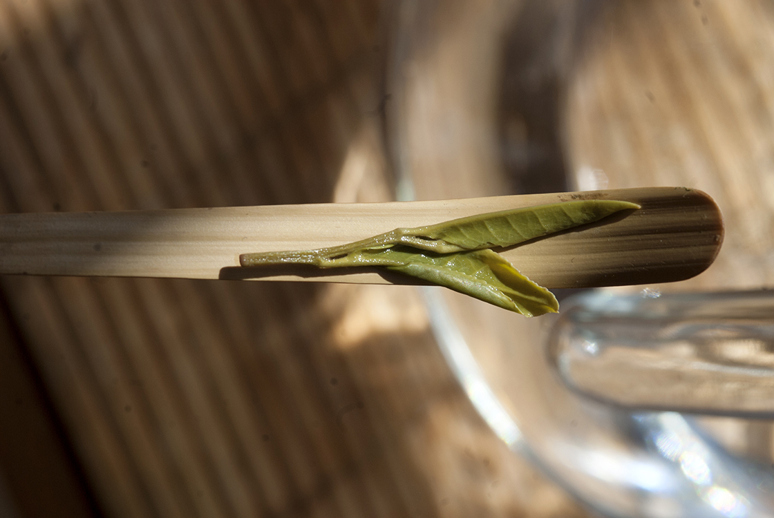 Huang Shan Mao Feng zöld tea