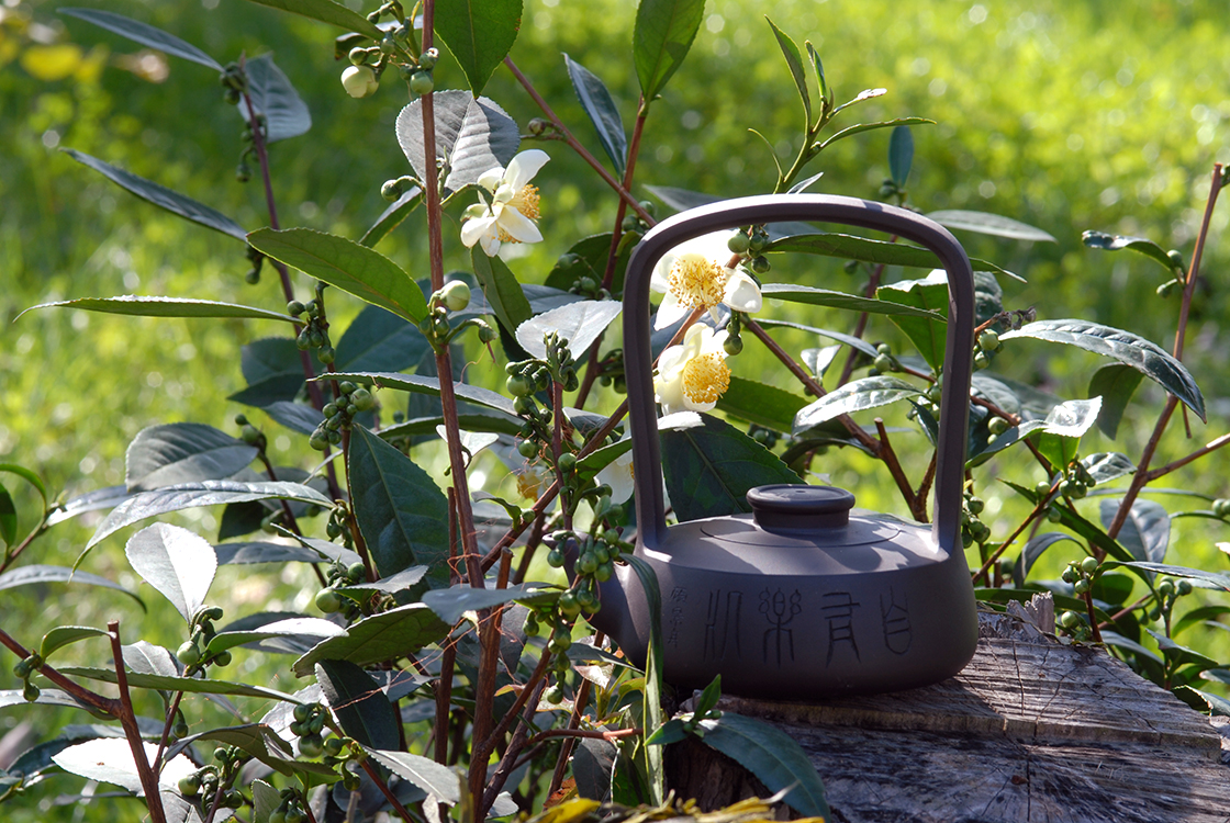 kínai zöld tea Taiping Houkui majomkirály