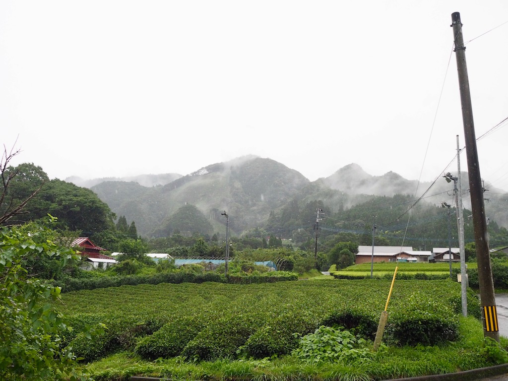 miyazaki sabou japán tea