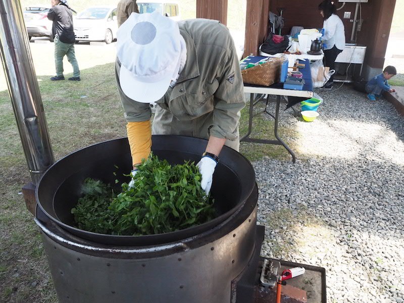 miyazaki organikus BIO kamairicha japán sütött zöld tea