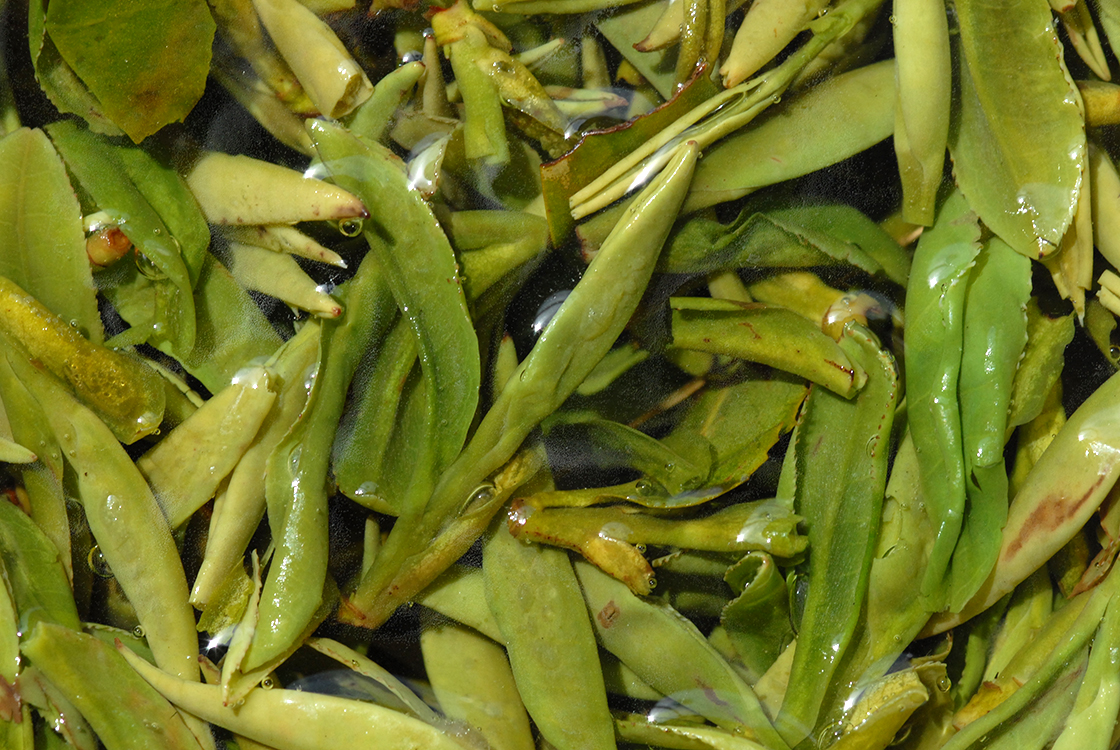 Long Jing Xinchang Da Fo kínai zöld tea