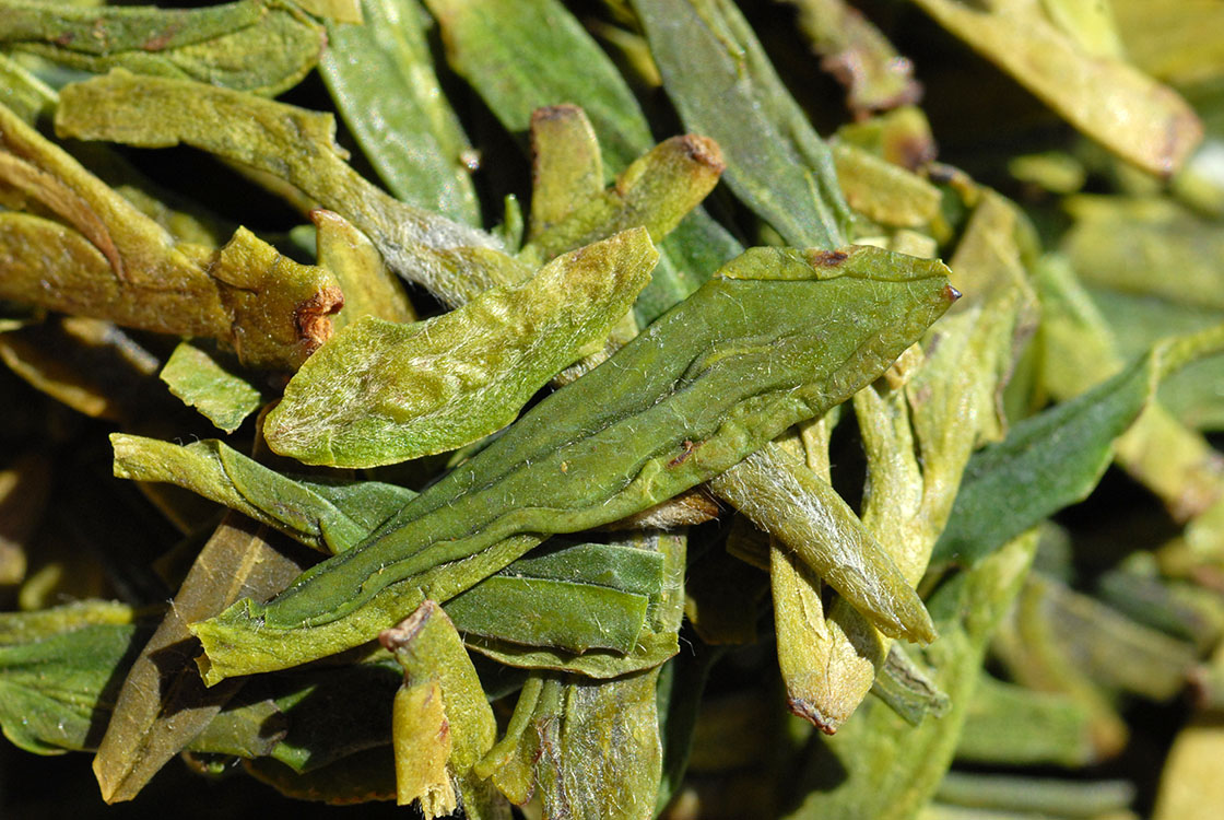 longjing dafo early spring premium chinese greentea