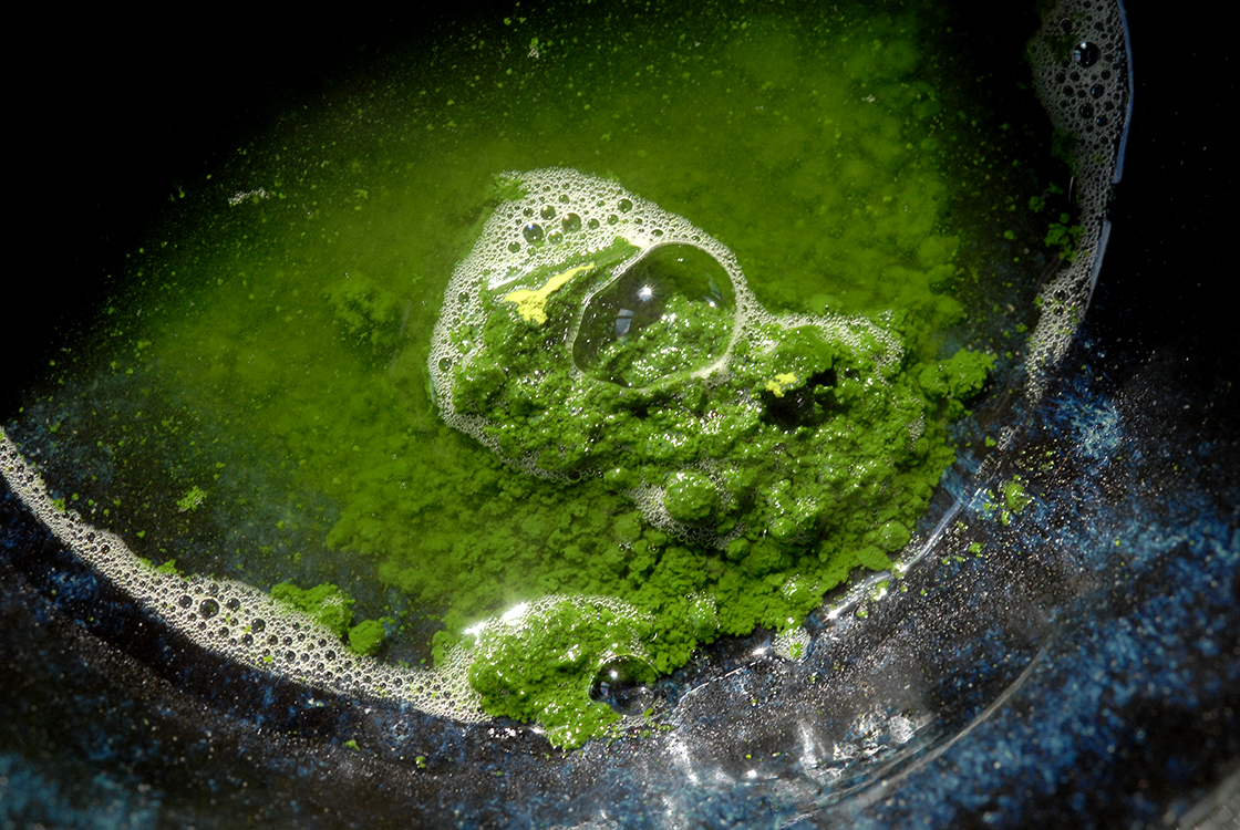 marukyu-koyamaen matcha isuzu powdered green tea
