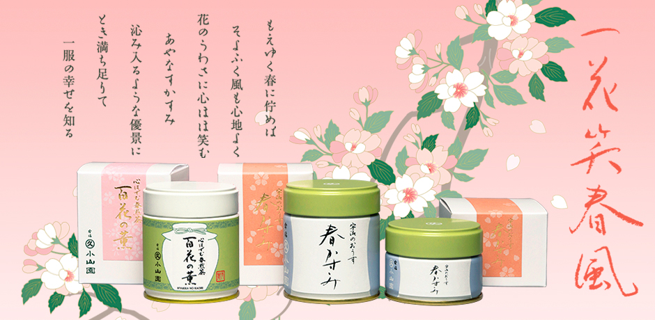 matcha harukazumi