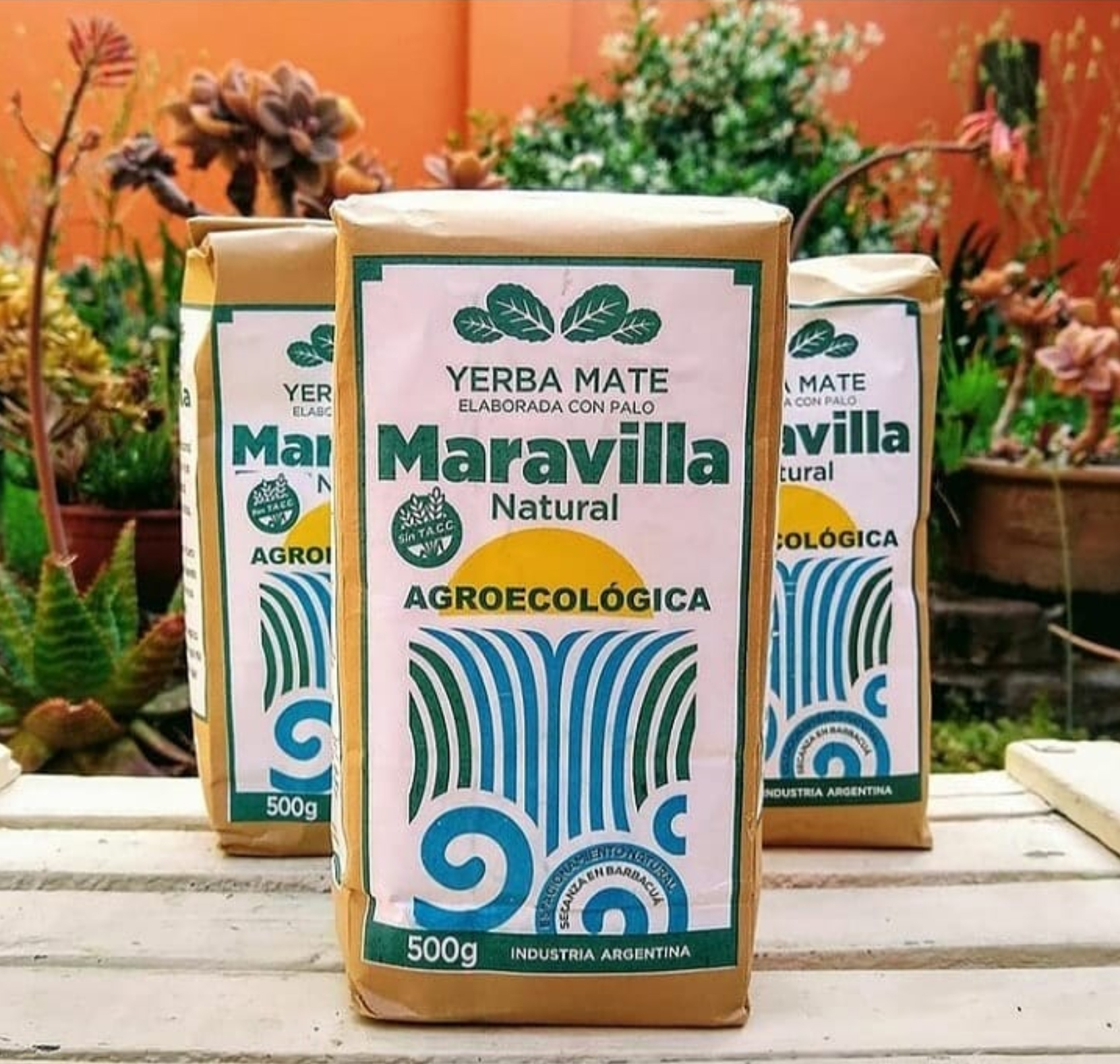 Maravilla yerba mate agroecologica