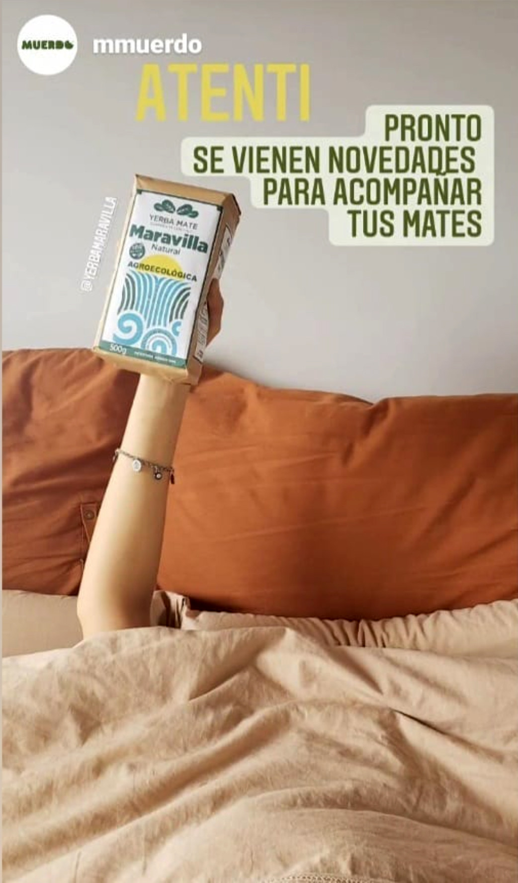 Maravilla yerba mate agroecologica