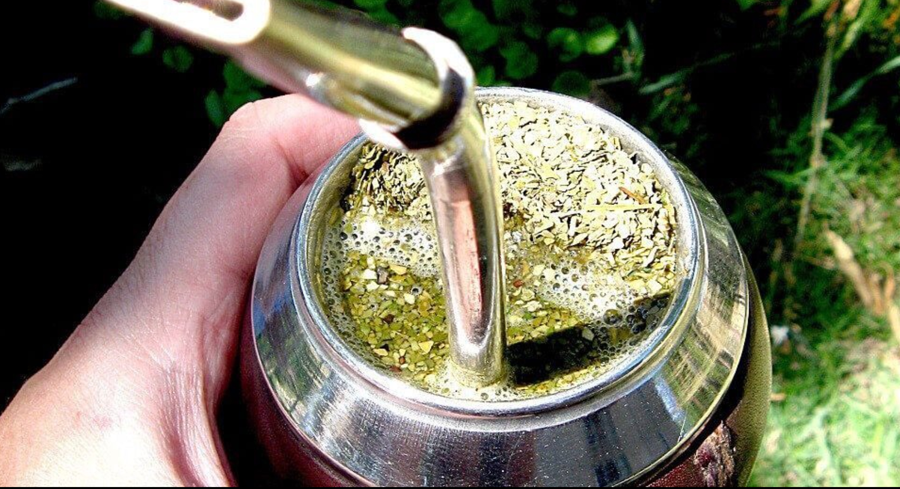 yerba mate productos der la chakra 