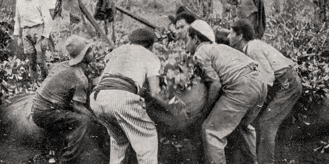 aguantadora yerba mate tea