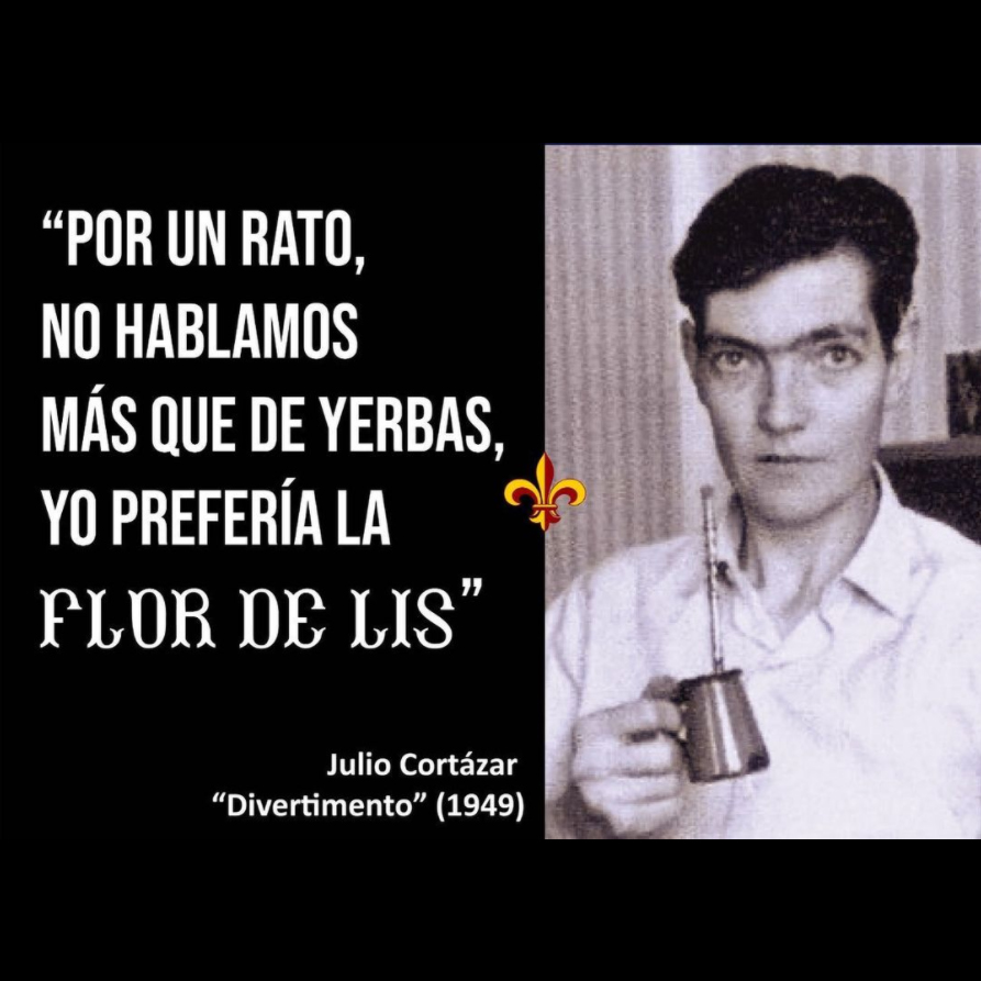 flor de lis cortázar