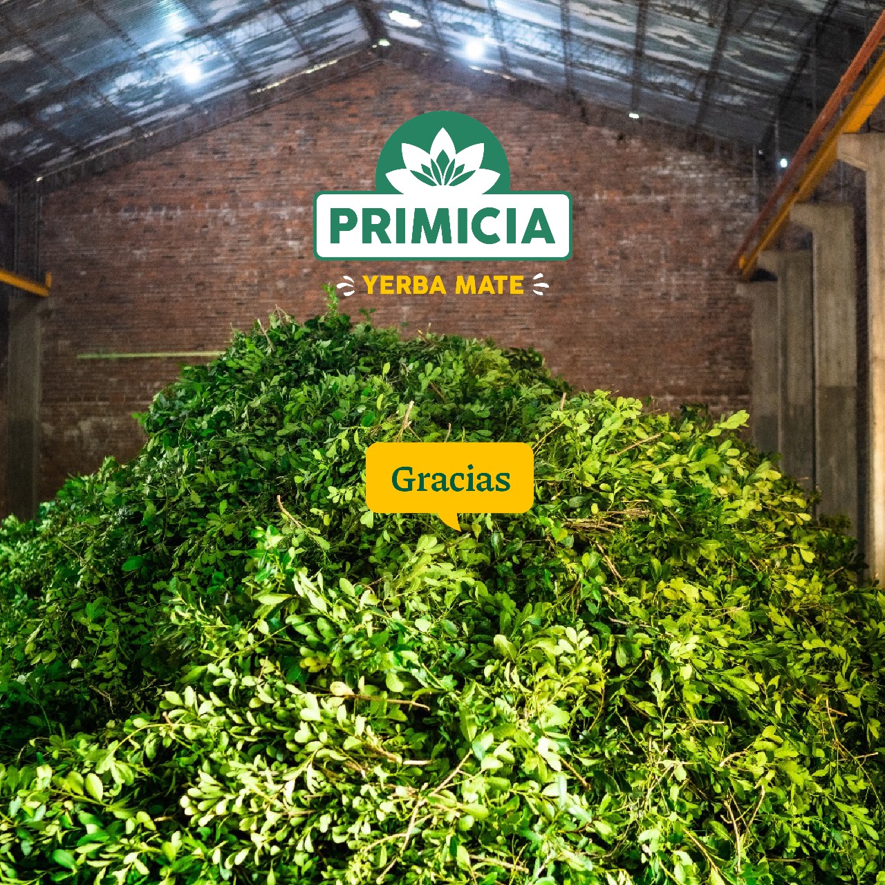 YERBA MATE PRIMICIA