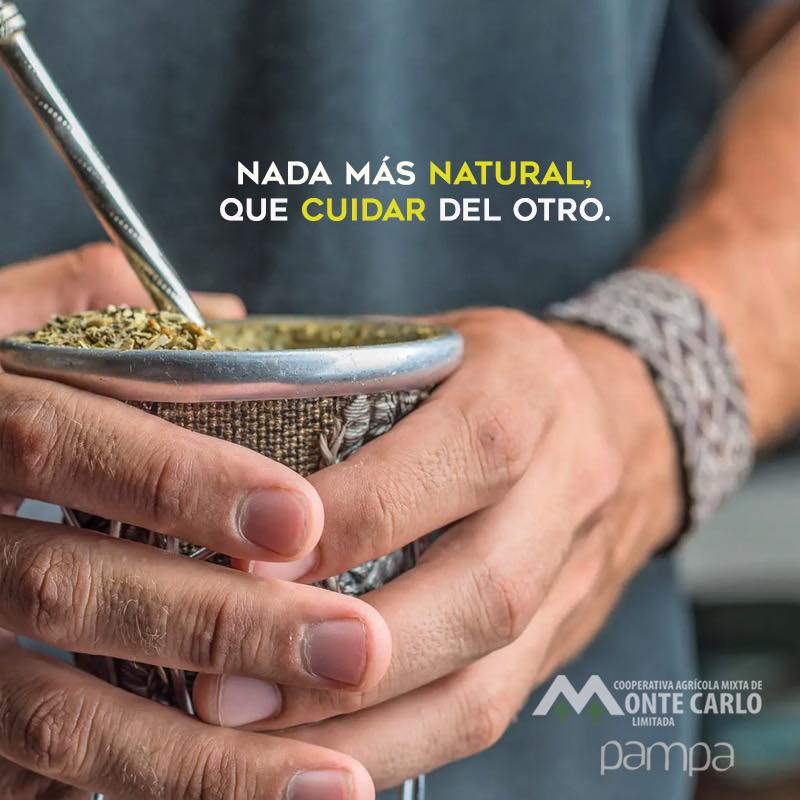 pampa BIO yerba mate tea