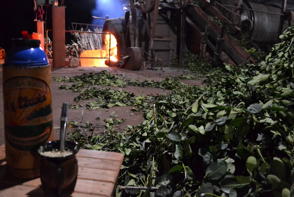 sol y lluvia organikus yerba mate tea