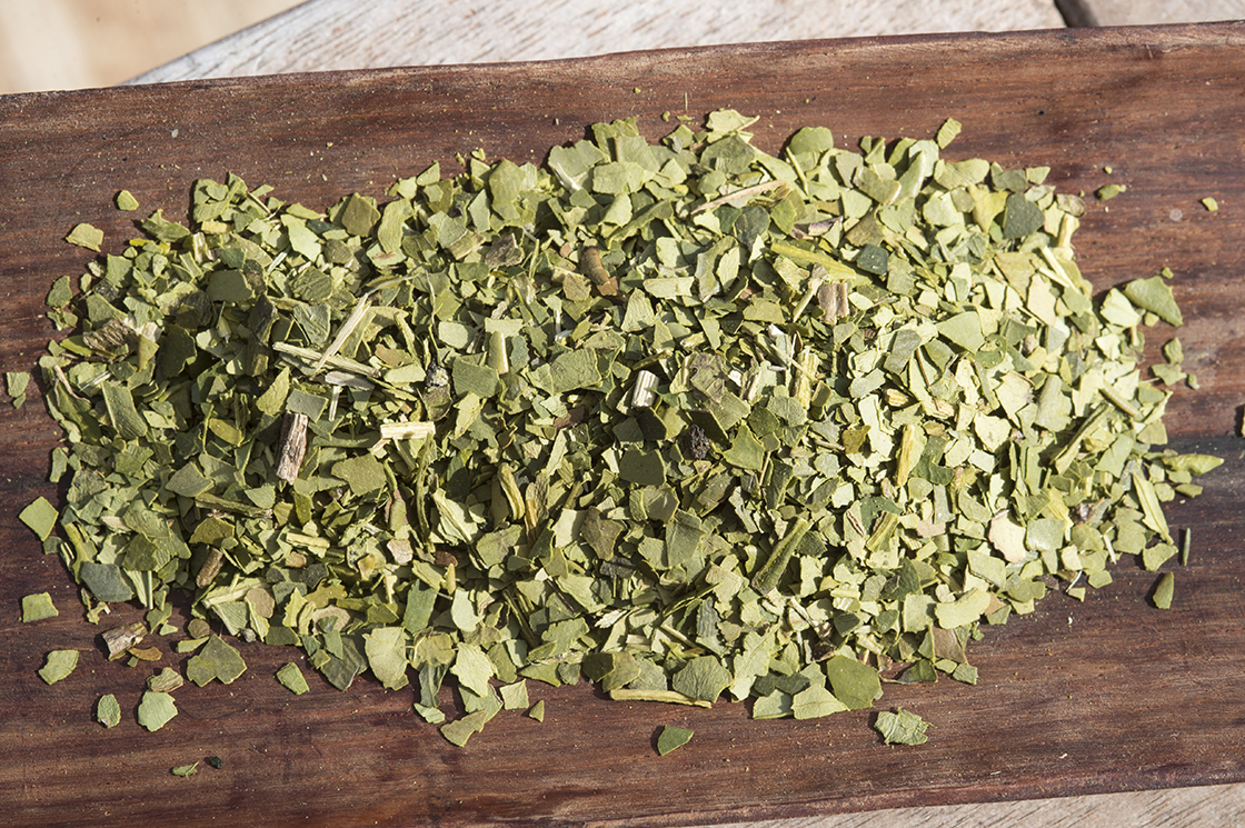 yerba mate yacui pure leaf