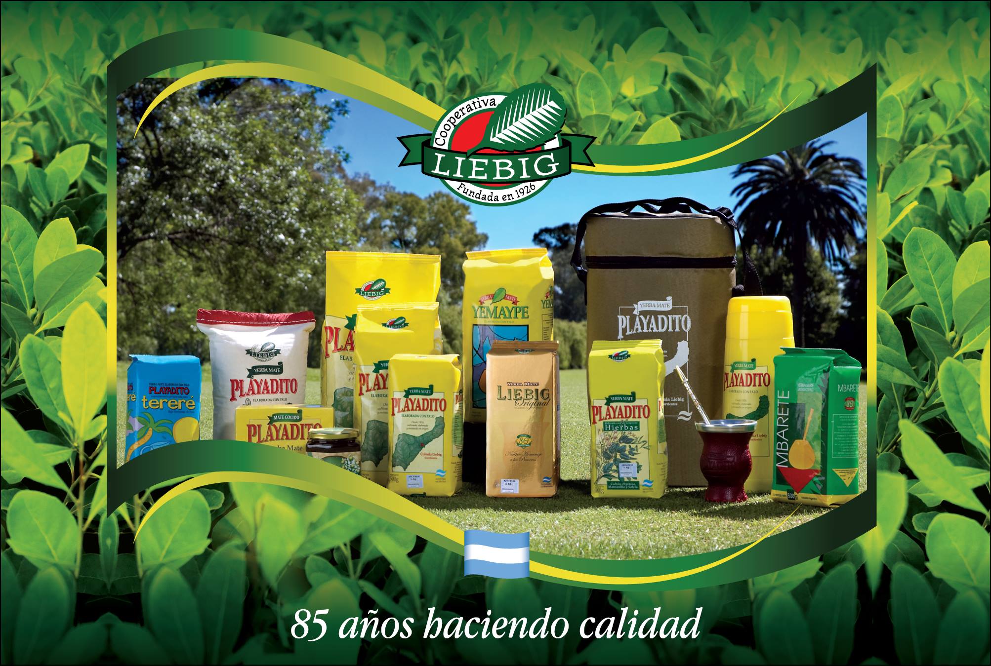 Liebig original yerba mate