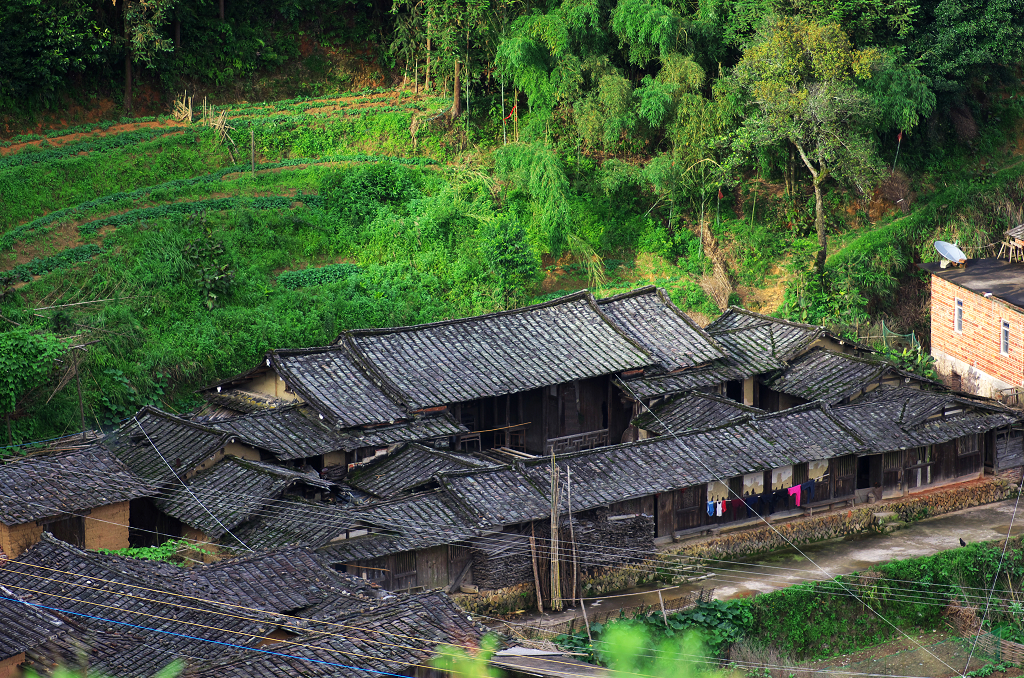 Fujian anxi kínai zöld és oolong teakert