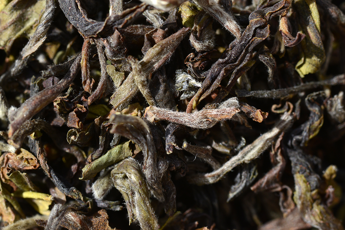 Darjeeling Gopaldhara Wonder oolong tea