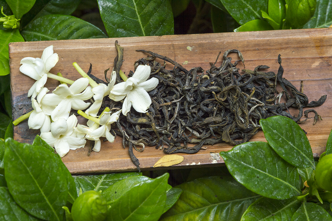 Fenghuang dan cong yin hua xiang 