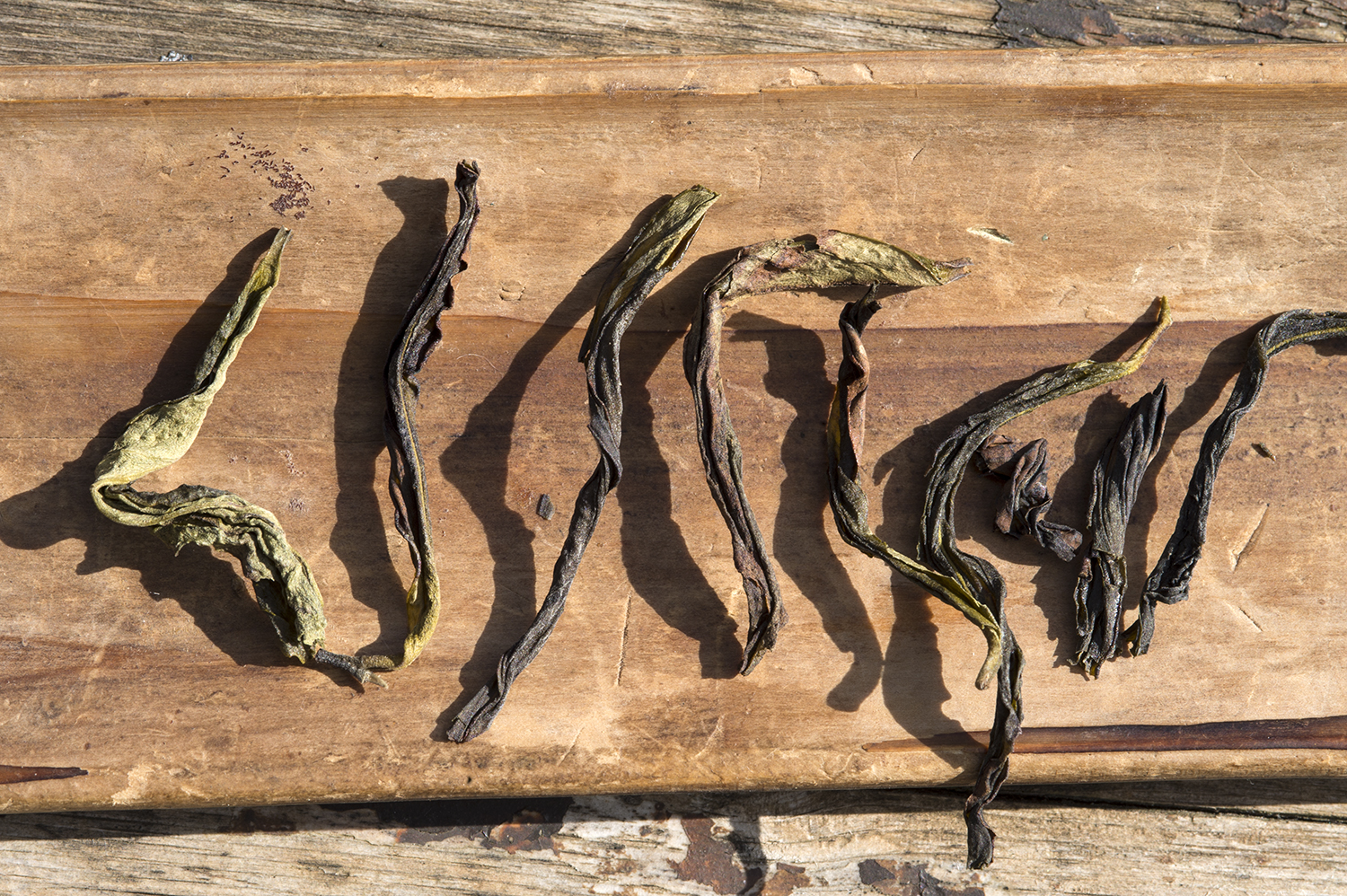 Ba xian oolong tea