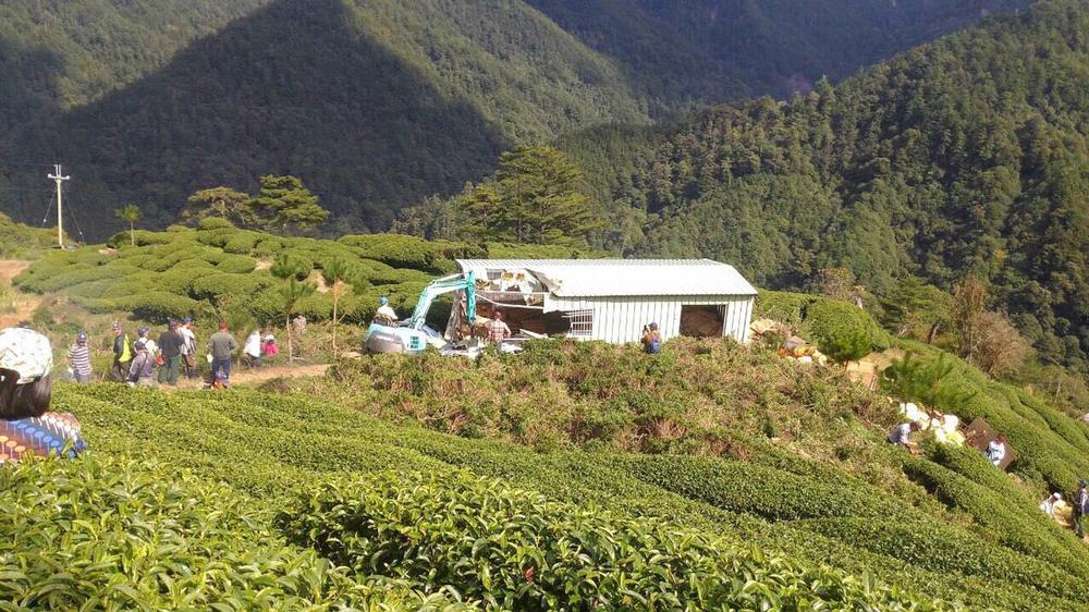magashwegyi tajvani teaültetvény